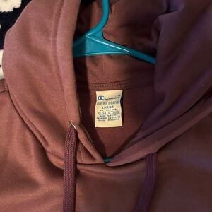 Champion cropped hoodie